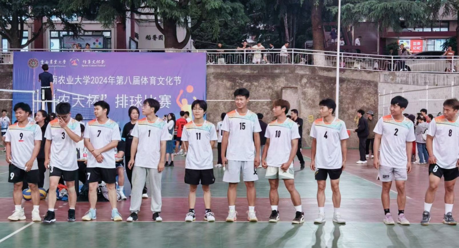图示, 示意图
中度可信度描述已自动生成:ver1